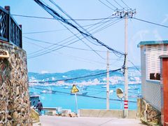 -枸杞岛