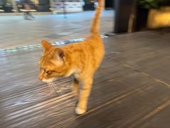 -叁 Three· bistro餐酒馆