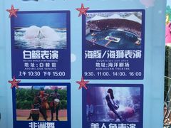 -秦皇岛乐岛海洋王国