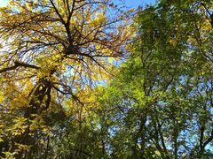 -元大都城垣遗址公园