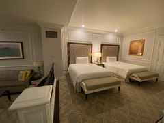 -澳门威尼斯人综合度假区