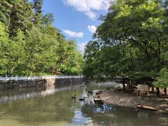 -黔灵山公园