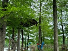 -宁波杭州湾国家湿地公园