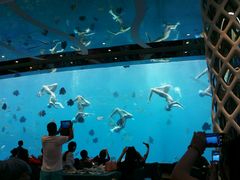 -瑞德姆美人鱼海底演艺主题餐厅(亚龙湾店)