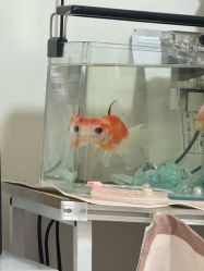 -杏绘·PLEASURE美甲美睫·嵌甲