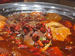 -鸽子窝(青塔店)