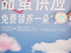 -深圳龙华星河COCO City(民治店)