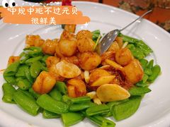 xo酱炒元贝-上海1号私藏菜(静安店)