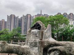 -南昌动物园