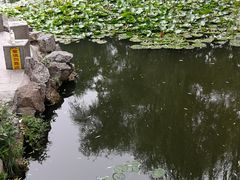 -文瀛公园