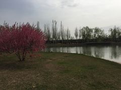 -石家庄市植物园