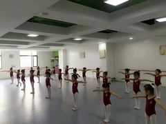 -西安小天鹅艺术团(金花路校区)