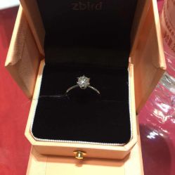 -Zbird钻石小鸟·钻戒婚戒定制高端珠宝私人定制中心