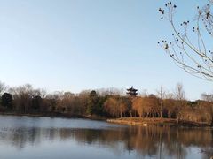 -梁鸿国家湿地公园