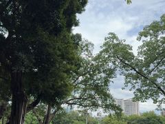 -荔湾湖公园