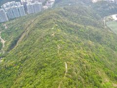 -深圳仙湖植物园
