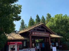 -苏州太湖国家湿地公园