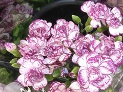 -永辉超市(嘉定宝龙广场店)