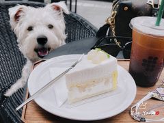-DECAMERON十日谈(前海嘉里中心店)