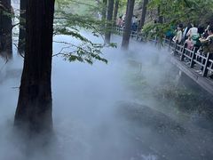 -国家植物园南园