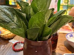 -哥老官重庆美蛙鱼头(龙湖杭州金沙天街店)