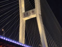 -黄浦江游览快线(金陵东路码头)