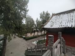 -洛阳白马寺