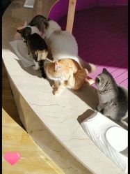 -萌宠亲子动物乐园(槐房万达店)