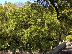 -普陀山风景名胜区-法雨禅寺