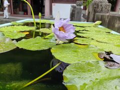 -钱王祠