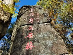 -汤旺河林海奇石景区