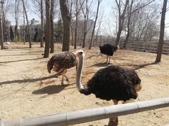 -大连森林动物园