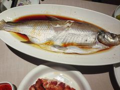清蒸太湖大白鱼-顺鹅季·非遗烧鹅(六道口店)