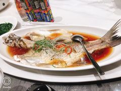 -道道鲜·崇明私房菜(五角场店)