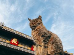 -西园戒幢律寺