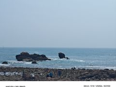 -小麦岛公园
