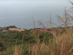 -西涌国际滨海旅游区