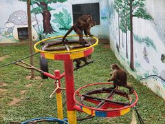 -西霞口神雕山野生动物世界