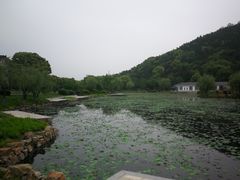 -龙寺生态园