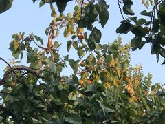 -长春公园(普阳街道)