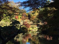 -成田山新胜寺