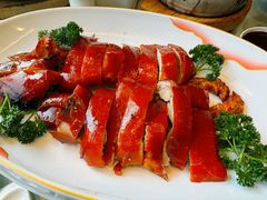 -老广酒楼(樱花店)