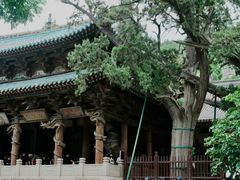 -晋祠公园