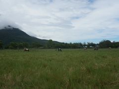 -瑞穗牧场