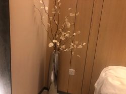 -恒美雅轩·品牌直营连锁