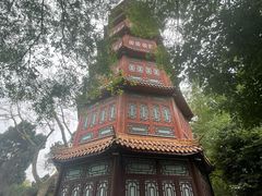 -房湖公园