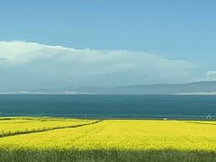 -青海湖国家重点风景名胜区