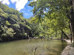 -灵溪风景区