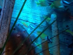 -沈阳海洋探索中心