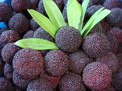 -上海龙吴水胜海发市场